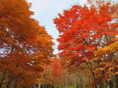 団塊夫婦の日本紅葉巡りドライブ・２０２1ー（１）新穂高温泉に立ち寄って高山へ