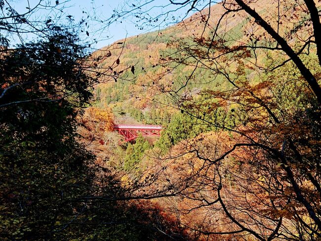 11月6日<br />信州高山村の松川渓谷に紅葉ハイキングに行って来ました。<br />松川渓谷は北信でも有名な紅葉スポットとのことで、地元の人から勧められていました。<br /><br />長野市内から20キロ。<br />約40分ほどで行くことができる場所です。<br /><br />松川渓谷の紅葉スポットの髙井橋に車を停め、山田温泉街を散策し、松川渓谷沿いのハイキングコースの舞の道を歩いてきました。<br /><br />その後せっかくなので、八滝や雷滝もまわってきました。