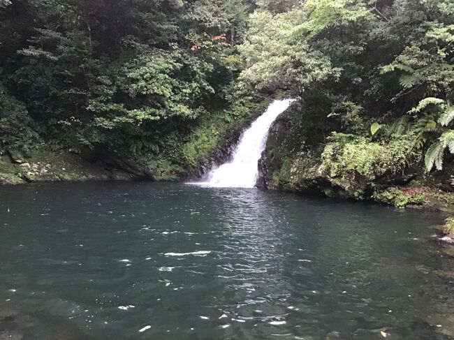 今朝は雨が降っていて空は曇天模様やや肌寒く感じてました。<br />この時間の天候が今日の予定を大きく狂わされてしまいかあちゃん主導で行きたい放題な1日です。<br /><br />今日の教訓！！<br />その1 <br />　奄美大島は島と名がつくがとてつもなく大きい島で高速道路も通ってないからどこに行くのも舐めたらいけません、しかも山坂が多い。軽四は唸りをあげて苦しそうです。しかも電波の届かない場所が多いので目的地設定や検索は早めにしましょう。<br /><br />その2<br />　大きな橋がかかってないから大したことはないなと思ってはいけません。向こうに見えている場所でもなかなか辿り着けません。<br /><br />その3<br />　3桁国道を信じてはいけません。<br />これが本当に国道か？と痛い目にあいます。また道路に街灯や水銀灯が少ないので道路の境が判りにくい。<br /><br />その4<br />　市街地を抜けると飲食店が少なく食事難民になります。<br /><br />　　　　　　　　　　　　　　　　　　　　　　　　　　　　　　　　以上。<br /><br />