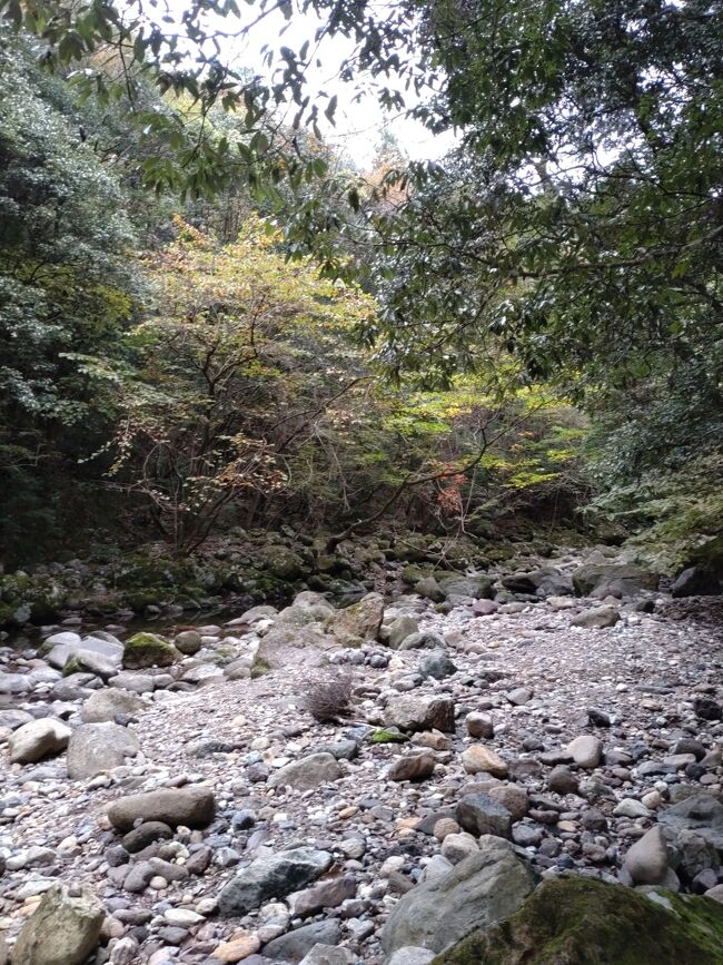 【鉱物女子旅行】鳳来寺山松脂岩を取りに行く