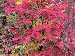 久々の秋の北海道一人旅・初日Part1～紅葉を見て感動～(*^ワ^*)