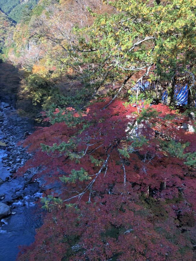 この秋の週末で天気も良く、穏やかな気候。4日に仲間から6日土曜日行ける人は奥秩父走りませんか？のお誘いが、一人で走る予定でしたが、予定が合った2人の仲間と3人で行ってきました。<br />西武秩父駅まで輪行<br />国道140号線をひた走り、最初の目的地中津峡へ<br />中津峡からさらに登り、ニッチツ鉱山を経て八丁峠、折り返し<br />奥秩父さくら湖畔を走り、三峯神社へ、神社で折り返して秩父市内に戻り、秩父駅近くでホルモンを堪能し、久々にラビューで帰りました。