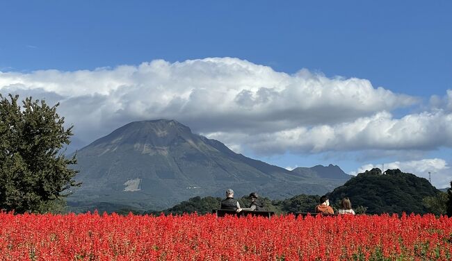 山陰の旅　鳥取花回廊