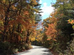 軽井沢の道沿いの紅葉(長野県軽井沢町）へ・・・