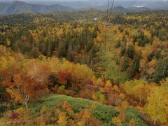 日本で一番早い紅葉、旭岳、十勝岳