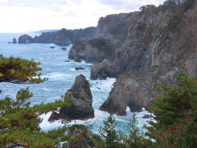 東京から日帰りで全都道府県めぐり、満を持して最終回となる第47回目は岩手県です。<br /><br />岩手県は新型コロナ感染者数が非常に少ない素晴らしい県でしたが、県独自の「岩手緊急事態宣言」なるものを勝手に発令し、観光スポットは軒並み閉鎖状態。<br />2021年9月16日、ようやく岩手緊急事態宣言が解除され、東京の感染者数も劇的に減ったということで本格的に旅程を検討。<br />今回は日帰り難易度の高い北三陸を選んでみました。<br /><br />行程表は以下のように作成しました。<br /><br />6:32 東京駅<br />　↓JR東北新幹線はやぶさ1号<br />9:09/9:20 二戸駅<br />　↓JRバス スワロー号<br />10:30 久慈駅<br />★久慈観光<br />12:00 久慈駅<br />　↓三陸鉄道北リアス線<br />12:58/13:05 田野畑駅<br />　↓乗り合いタクシー<br />13:25 北山崎展望台<br />★北山崎展望台<br />14:35 北山崎展望台<br />　↓乗り合いタクシー<br />14:55/15:13 田野畑駅<br />　↓三陸鉄道北リアス線<br />16:00 宮古駅<br />★宮古観光（浄土ヶ浜、本州最東端訪問証明書）<br />18:05 宮古駅前<br />　↓岩手県北バス 106急行<br />19:13/19:38 平津戸駅<br />　↓JR山田線<br />20:42/20:50 盛岡駅<br />　↓JR東北新幹線はやぶさ48号(こまち48号)<br />23:04 東京駅<br /><br />三陸鉄道に乗るのが一番の目的で、北山崎展望台と浄土ヶ浜で自然を楽しみ、久慈ではドラマ「あまちゃん」を思い出しつつ食事を目的としました。<br />宮古から盛岡へは直行で行けますが、平津戸駅は日本で一番遅い始発列車が出る駅ということで最後に記念に寄ってみることにしました。