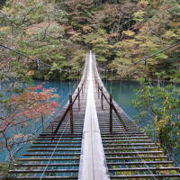 ２０２１年１１月 山梨・諏訪湖・寸又峡 その３ 寸又峡・夢のつり橋・奥大井湖上駅