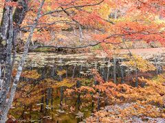 昭和村の紅葉に魅せられた一日&明神滝+土津神社