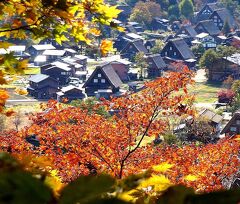 団塊夫婦の日本紅葉を巡る旅（2021中部ハイライト）ー10年ぶりの再訪・秋の白川郷