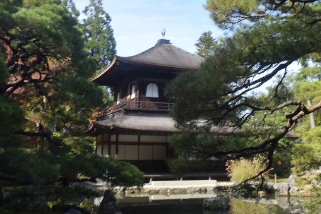 比叡山から銀閣寺を経由すれば時間短縮だったのですが、その時は、貴船を第一に考えていたので、翌日の訪問となりました。行く途中に京都大学があるのですね。
