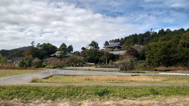 去年高麗神社に行って近くにお寺があったのを思い出した。