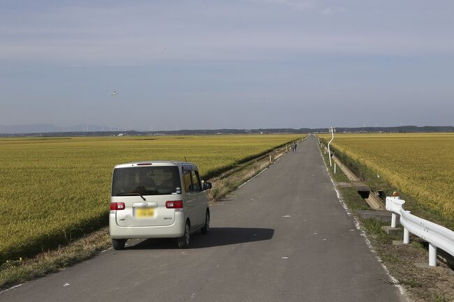 去年青森に来たときは下北半島までは足を延ばしましたが津軽半島は未踏の地。今回、この津軽半島をぐるっと一回りします。<br />当初、この日もキャンプの予定でしたが、天気予報によると明日から下り坂。そしてもう一度青森で地元の料理を堪能したくなり連泊できるかホテルに確認、幸い空いているとのことでアパホテル青森駅東に連泊決定です。<br />予定ではもう少し旅行を続けるつもりでしたが、天気は悪いままの予報。明日は千葉に帰ることにし、この日が事実上、旅行最終日となりました。<br /><br />津軽半島というと歌で有名な竜飛崎を目指しますが、そのまえに昨年NHKのこころ旅で放送されていた津軽平野の広々とした田園を走り新絶景といわれる高山稲荷を目指します。