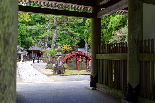 お伊勢参りを終えて伊勢うどんも食べ、猿田彦神社をお参りしてから伊勢志摩スカイラインへ。朝熊山を目指しました。