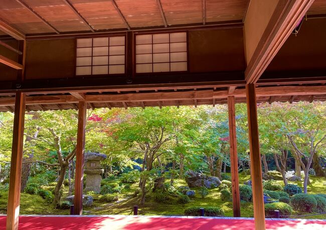 今年2月、国内おひとり様宿泊旅デビューをした京都。<br />やはり紅葉の時期にも訪れたい。京都の紅葉の見頃は11月中旬から。<br />混雑する時期は避けたいので紅葉にはまだ早いのですが念願の「秋の京都、おひとり様旅」に出発します&#8252;︎
