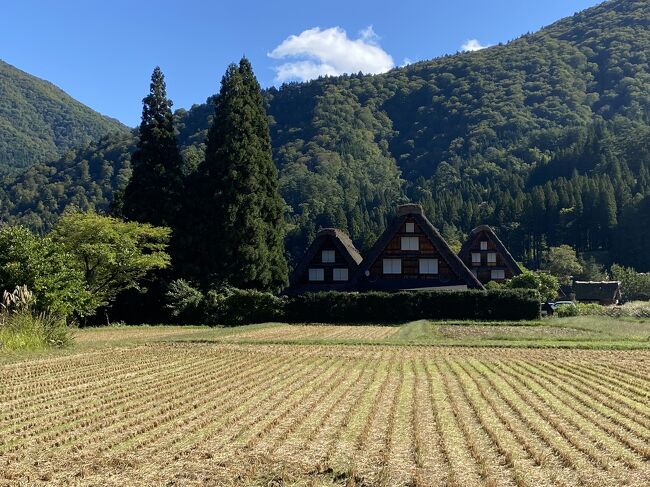 ずーっと行ってみたかった白川郷へ。金沢駅発の日帰りバスツアーに参加しました！合掌造りの集落を見学したり、どぶろく祭りの白川八幡神社を参拝したり。飛騨高山では町をぶらぶらお買い物。飛騨牛のにぎりもモグモグ。朝から晩まで大満足の2日目です。<br /><br />10/14<br />●7:50　JR金沢駅　金沢港口（旧西口）集合<br />『世界遺産　白川郷＋飛騨高山周遊バスツアー　山の幸満載の昼食＆手焼きせんべい体験付き』←★ベルトラから予約<br />＠12,000円/人<br /><br />●長瀬家入館料　＠300円<br /><br /><br />