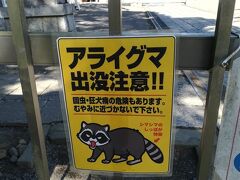 アライグマ出没注意!？水戸散歩