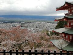 2021 04   ④前泊・後泊付き富士五湖　５泊６日　新倉山浅間公園　