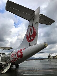 JAL JGC回数修行 伊丹空港発 27回目～32回目 クリスタル達成！