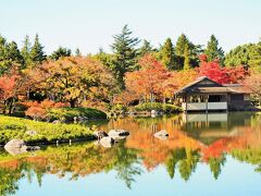 東京は秋空！～紅葉の始まった昭和記念公園を散策