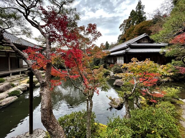 《2021.November》あみんちゅぶらり淡海を歩く旅そのXXXII湖東三山～紅葉の百済寺編～