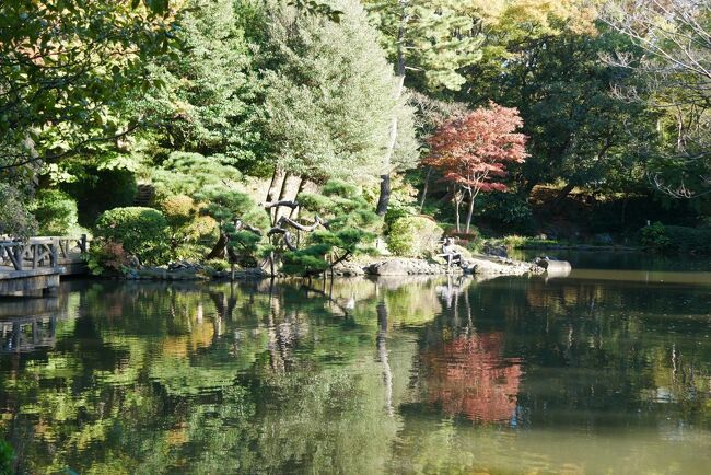 昼からちょっと紅葉どんな感じかな<br />ということでメトロ日比谷線あたり<br />をぶらり公園歩き<br /><br />まあ高尾山あたり行けば<br />かなり見頃なんだろうけど<br />ちょっと面倒かな高尾山<br />小学校の遠足といえば、定番は高尾山だったけど<br /><br />今日は広尾の有栖川宮公園、日比谷公園に<br />まだまだ紅葉は早かった<br />都内は月末から来月初かな<br /><br />