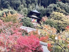京都蹴上てくてく旅行！…南禅寺、永観堂を訪れて…前半ひとり旅編！