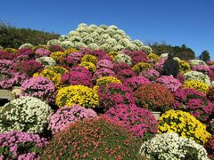 ざる菊園