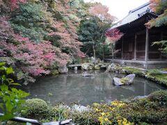 20211112-4 京都 八瀬から少し下って上橋。蓮華寺も紅葉の名所ですと。