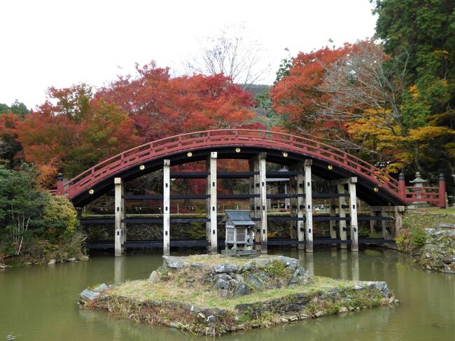 　近くの公園のイチョウが黄葉に染まり、一部は散っています。<br /><br />和歌山のイチョウの名所を調べたら、大阪に近い 紀の川沿いに何か所かありました。<br />見頃は11月下旬らしいですが、串柿で有名な四郷にも行きたかったので決行です。<br />かつらぎ町の友人から「丹生都比売神社」は是非行ってみて・・・と助言をもらい、付け加えました。<br /><br />本日はかつらぎ町と紀の川市の一部を訪問です。全て一般道ドライブです。<br /><br />コース　　大阪→四郷 串柿の村（かつらぎ町）→道の駅くしがきの里（かつらぎ町）→加茂神社（紀の川市）→ＪＡ紀の川 ふうの丘（ランチ　紀の川市）→丹生酒殿神社（かつらぎ町）→丹生都比売神社（かつらぎ町）→大阪<br /><br />表紙写真：　　丹生都比売（にうつひめ）神社　　世界遺産