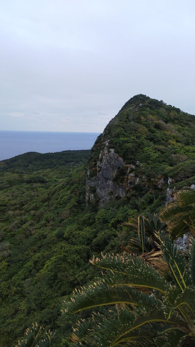 秋の沖縄 北に南に観光旅 国頭 大宜味 沖縄県 の旅行記 ブログ By ちぇぶさん フォートラベル