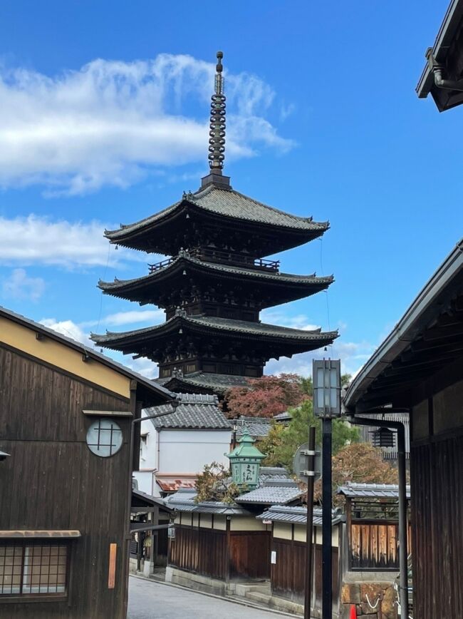 今年も京都へ１泊。素敵なホテルが沢山あるけれどJR東海ツアーズのずらし旅、このお得感を一度味ってしまうとなかなか他を選べない！<br /><br />そんな訳で今回もずらし旅！東京～京都　のぞみ往復＋都ホテル　京都八条　朝食付き　１人25400円で行ってきました～。<br /><br />