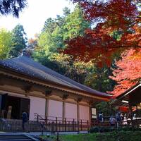 ブララブコー「秋の平泉 世界遺産巡りと紅葉狩り♪」