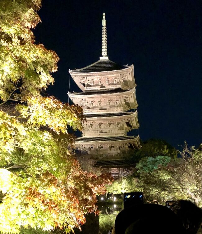 11月6日から11月7日<br /><br />朝、思い立ちホテルを予約し新横浜駅12;56発の新幹線でこだまにとびのり約2時間後に京都駅到着。<br />駅から5分程のホテルに到着後　一休みしてから東寺に向かう。<br />4時に入り、そこの甘味処で知り合った外国人観光客と一緒に6時からのライトアップまでの待ち時間を過ごす。<br />一緒に東寺のライトアップを見て回る。<br />翌日は地下鉄と路面電車を使っ渡月橋へ。鰊うどんと湯葉明太子チーズを食べ、天龍寺を拝観した後京都駅まで戻る。<br />京都駅から臨時の清水寺方面への市バスに乗り　清水道にて下車。<br />八坂の塔の見える三年坂を散策し、甘味処に立ち寄って　5時過ぎ発の新幹線で帰路につく。<br /><br />