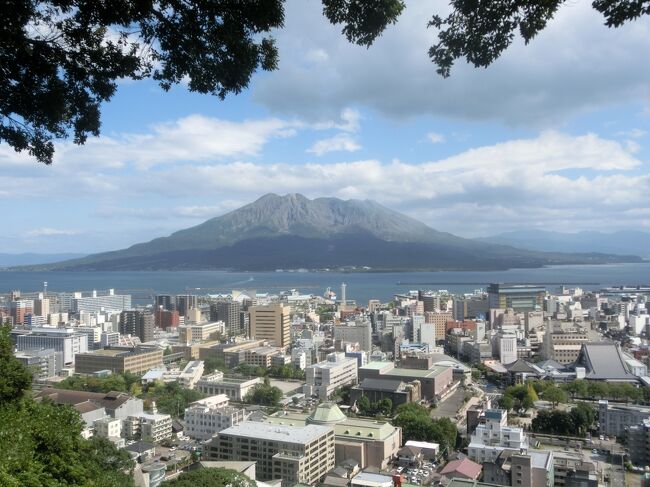 ２泊３日の鹿児島旅行、鹿児島空港近くでレンタカーを借りて、まずは鹿児島市内にやって来ました。<br />さすが南国、10月なのに昼は30℃を超える暑さです。鹿児島城(鶴丸城)跡を見学した後、城山へ。<br />城山展望台へは標高差にして100mも無いのですが、滝の様な汗をかきました。城山の展望台から見事な桜島を眺め、西郷隆盛が西南戦争時に身を潜めた洞窟や、西郷隆盛の終焉の地、そして西郷隆盛銅像。やはり鹿児島に来たら、まずは城山と西郷隆盛のフルコースという、まさに初鹿児島の模範的観光客な動きをしました。<br />