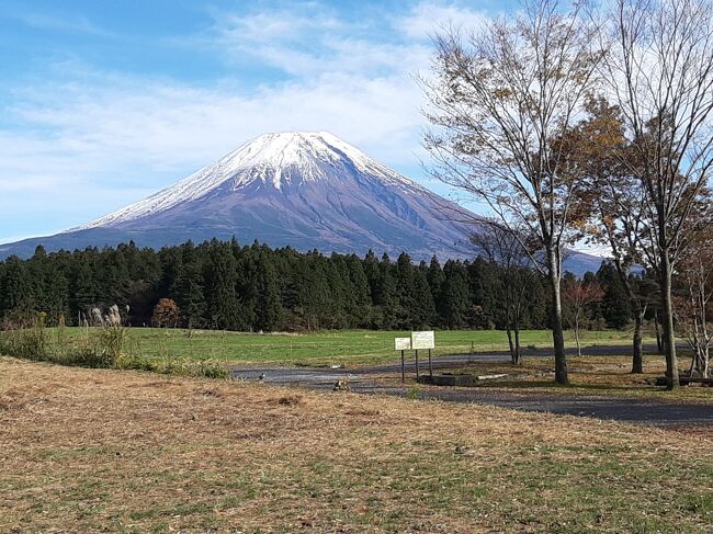 休日出勤の振り替え休日を利用し、紅葉の河口湖を観光しました。<br /><br />この時期の河口湖は、真っ赤に燃えるもみじ回廊があるのですが、混みあっていてコロナ下でもあり、そこは微妙に避けて観光しました。<br /><br />天気が良かったので、そのまま富士山を見るように反時計回りで静岡側に移動し、お魚を食べて帰りました。<br /><br />この時期の名物、御殿場のイルミネーションも楽しめました。