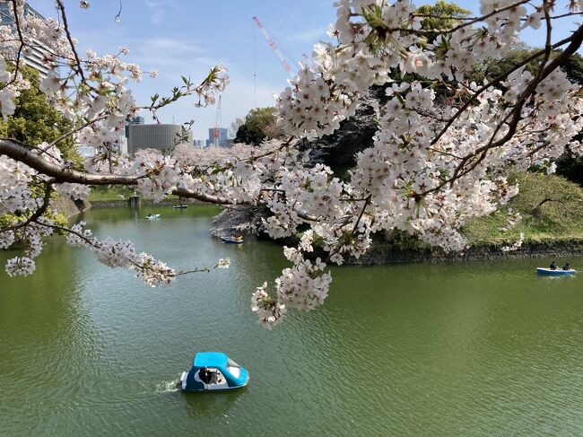 東京散歩2021年2月～1２月。<br /><br />今年は昨年からのコロナ禍のまま、<br />感染者数を気にしつつ、<br />花や美味しいもの、趣味のものを追ってのおでかけを<br />少しずつつなげていきます。<br /><br />もう少し記事を挿入するかもしれません。<br />再訪歓迎です( *´艸｀)