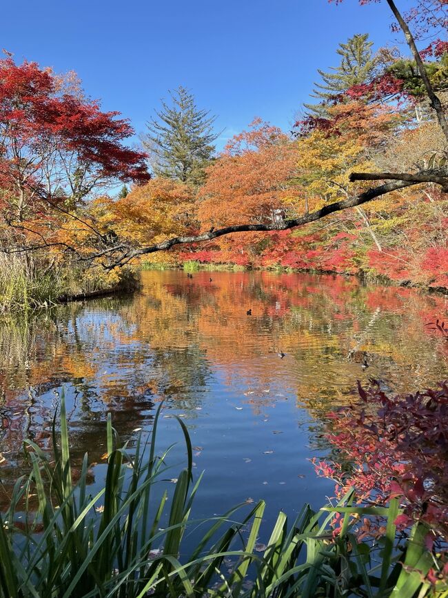 長野／秋の軽井沢で紅葉散歩＠ルシアン旧軽井沢（2021年10月）