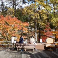 秋保温泉でひと休み♪ ☆ 磊々峡（らいらいきょう）もみじのこみち紅葉