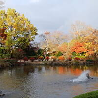 富岡製糸場から長瀞へ～途中寄り道の桜山公園の紅葉と冬桜と雲海と