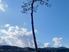 11月初旬　雪が降る前に東北観光　~震災からの復興に向かう陸前海岸～