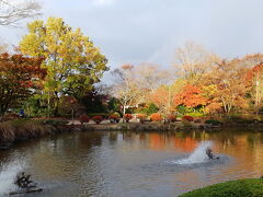 富岡製糸場から長瀞へ～途中寄り道の桜山公園の紅葉と冬桜と雲海と