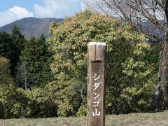 丹沢低山巡り　～シダンゴってなに？～