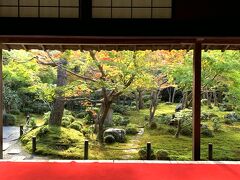 賑わいの戻った京都のお寺☆圓光寺で色づき始めの紅葉を楽しむ…宝泉の栗きんとん＆わらび餅♪ オルバーガー京都でグルメバーガーを♪♪