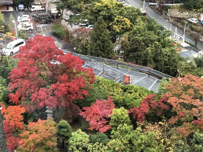 コロナ感染者数もかなり減少してきたので、紅葉の季節でもあり近場の温泉でゆっくりしようということに。<br />行先は二十年前くらいに一度行ったきりの有馬温泉へ。<br />ちょうど実家の近くなので、約一年半会えていなかった両親の元気な顔も見ることができました。<br />両親も有馬温泉の露天風呂付客室に泊まってきたとのこと。<br />私たちはテレビ東京の路線バスVS鉄道の旅で紹介されていた兵衛向陽閣にしました。<br />