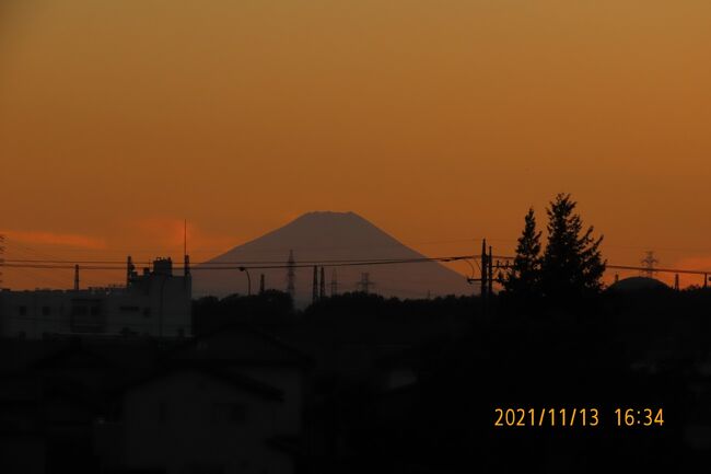 11月13日、午後4時34分頃よりふじみ野市から素晴らしい夕焼け富士が見られました。<br /><br /><br /><br /><br /><br />*写真は見られた夕焼け富士