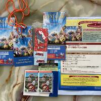 visaキャンペーンでUSJ招待券が当たった。コロナで伸び伸びになっていた招待日が、12月17日になったと招待券等を送ってきた。