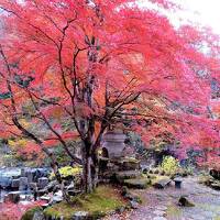 団塊夫婦の日本紅葉巡りドライブ・２０２1ー（６）紅葉と露天風呂を満喫した宝川温泉