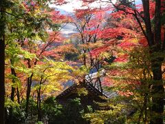 2021　富士山と紅葉を愛でる旅、日本の情景って素晴らしい☆箱根・沼津