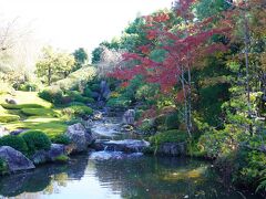 紅葉色づきはじめの京都さんぽ～退蔵院・泉涌寺七福神