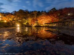 微妙な色づきだった霞ヶ城公園の紅葉&二本松神社